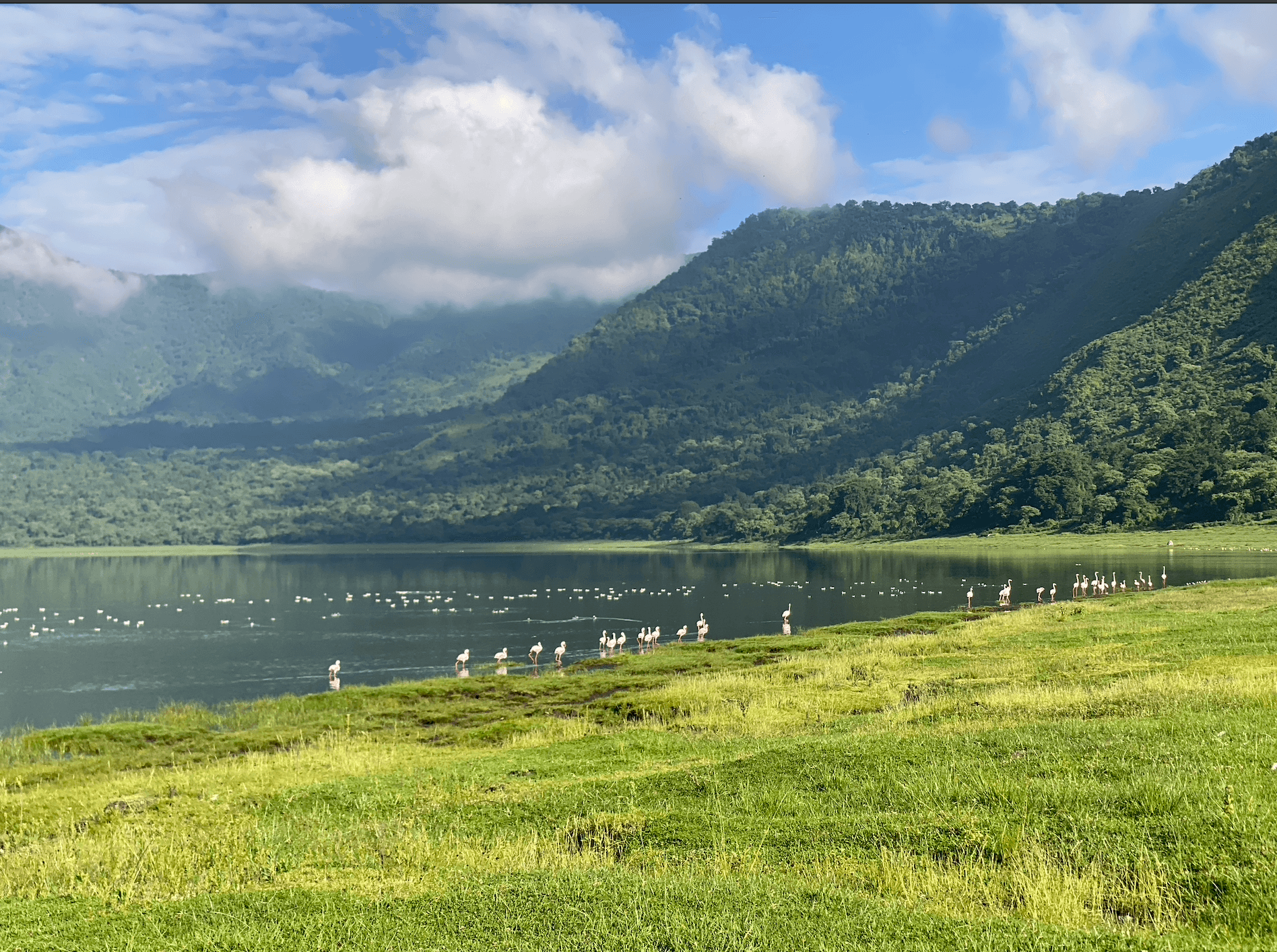 Ngorongoro